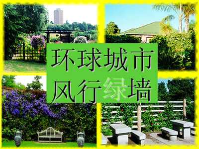 《环球城市,风行绿墙》ppt课件1