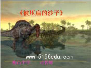 《被压扁的沙子》ppt课件1