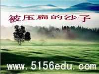 《被压扁的沙子》ppt课件2