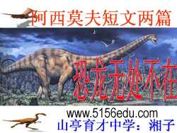 《恐龙无处不在》ppt课件3