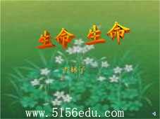 《生命,生命》ppt课件15