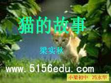 《猫的故事》ppt课件2
