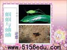 外国诗两首(蛔蛔与蛐蛐,夜)ppt课件6