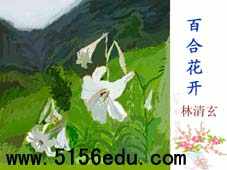 《百合花开》ppt课件3
