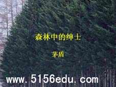 《森林中的绅士》ppt课件1