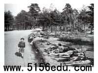 《图片两组》ppt课件3