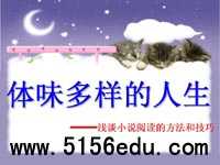 体味多样的人生——浅谈小说阅读的方法和技巧ppt课件