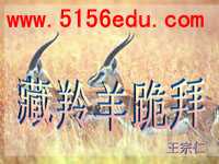 《藏羚羊跪拜》ppt课件5