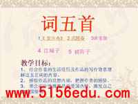 人教版九年级上《词五首》ppt课件5