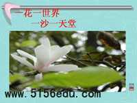 《听听那冷雨》ppt课件9