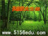 《书湖阴先生壁》ppt课件1