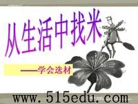 写作《从生活中找“米”》ppt课件(27页)