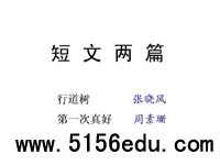 短文两篇(第一次真好,行道树)ppt课件(48页)