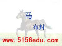《马》ppt课件(29页)