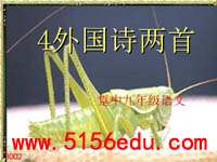 外国诗两首(蛔蛔与蛐蛐,夜)ppt课件(30页)