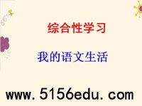 综合性学习《我的语文生活》ppt课件(59页)