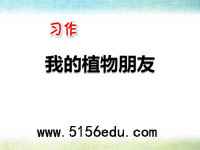 习作《我的植物朋友》ppt课件6