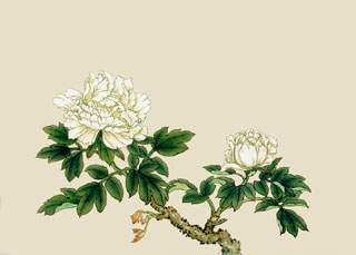 ��ĵ��ʫ������