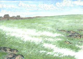 ���ù�ԭ���ͱ�ʫ������